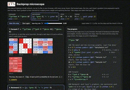 One training step with every array shown, each gradient checked by nudging its weight